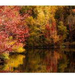 Professional Photography eBook English Edition Digital Guide-0