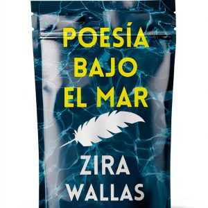 Spanish Poetry Kindle eBook by Unknown Author 1st Edition Accessible-0